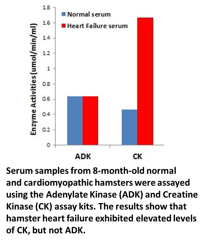 adk and ck