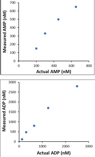 atpadpamp