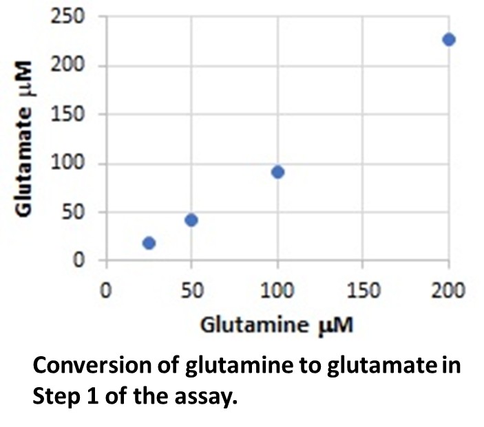 glutamine