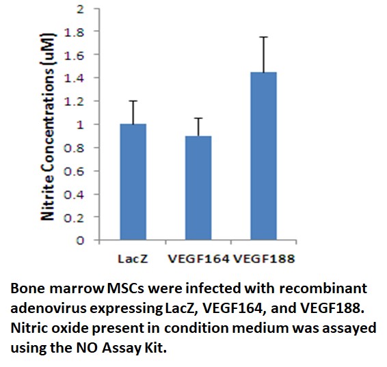 nitric oxide