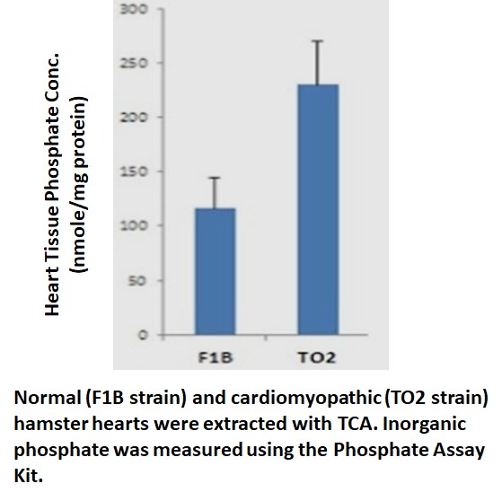 phosphate