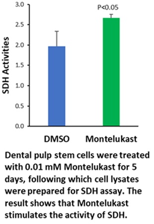sdh graph